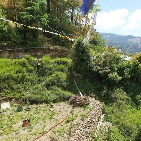 Aagaman Woods Homestay Shimla Exterior photo